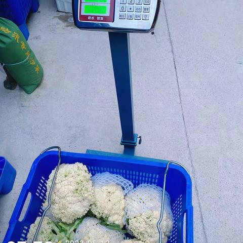 2023.5.12深圳中学初中部食堂食材验收