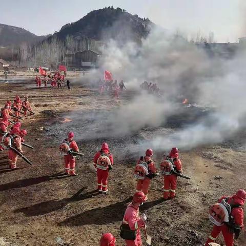 战备不松懈 守护不停歇 莱芜区组织开展春节期间森林防火实战演练
