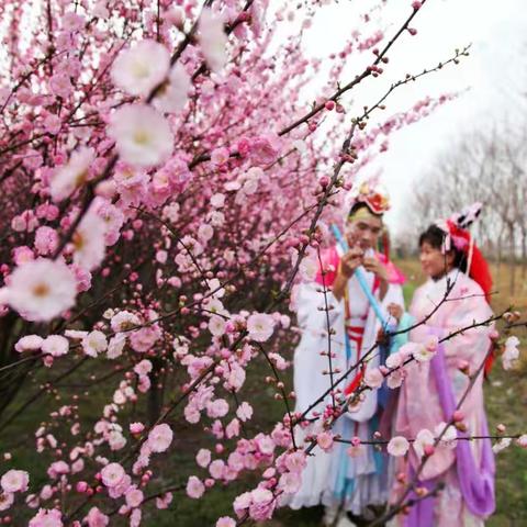 青冢留诗魂 陌上花似锦