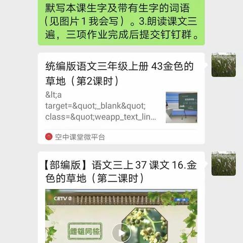 齐心协力抗疫情，线上教学课不停——陈留镇中心学校三年级教学纪实