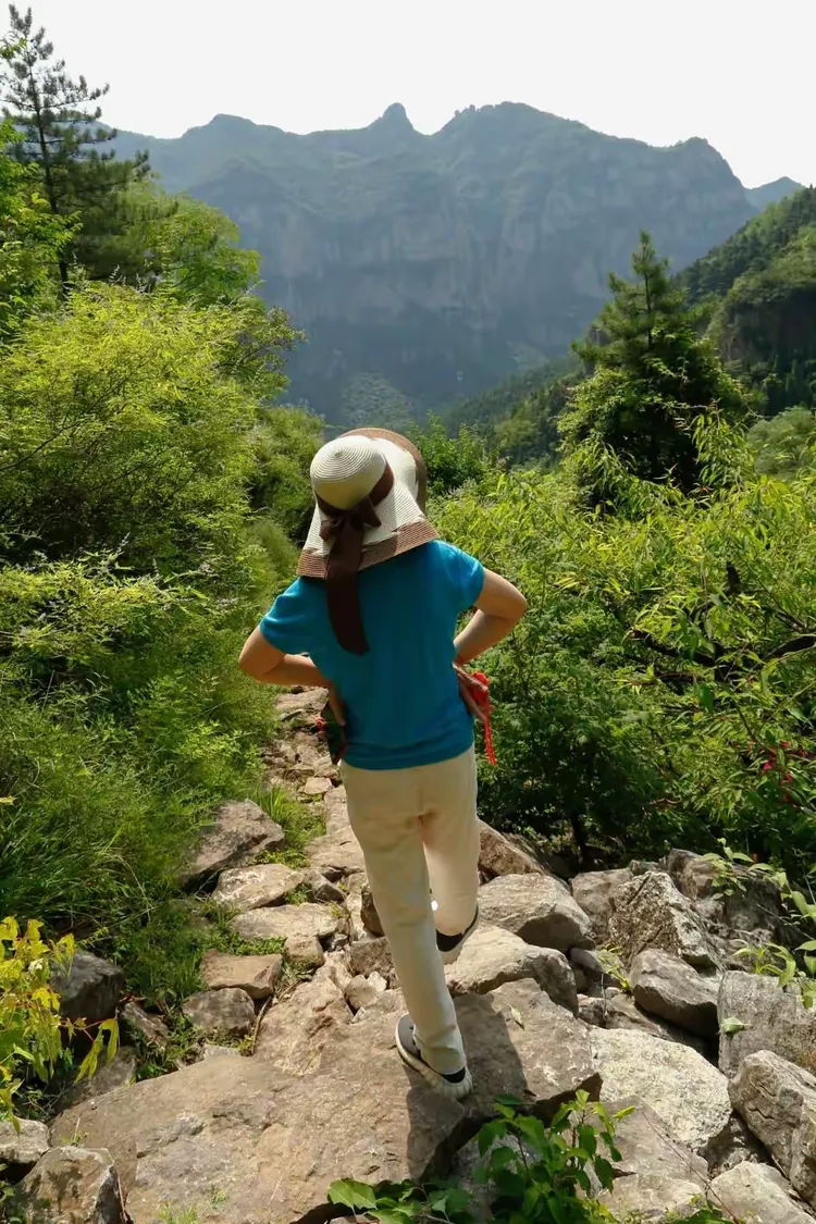 秋沟天气预报预报