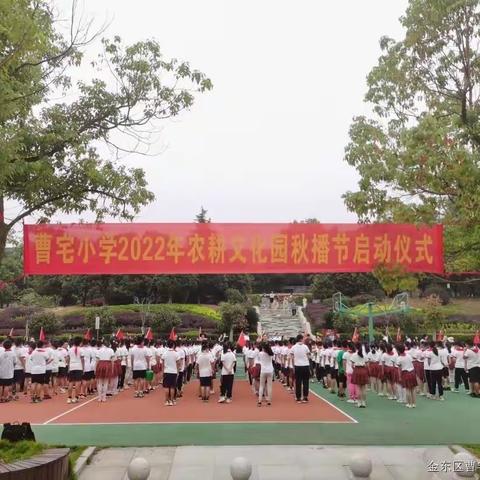 曹宅小学一（2）班之春日收获