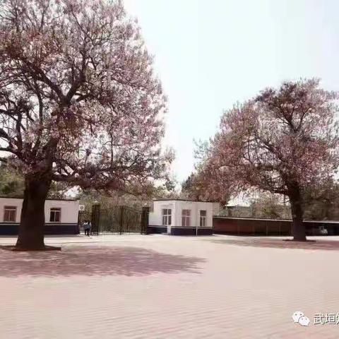 教育在路上，学习不停止——韩村中学暑期继续教育线上培训