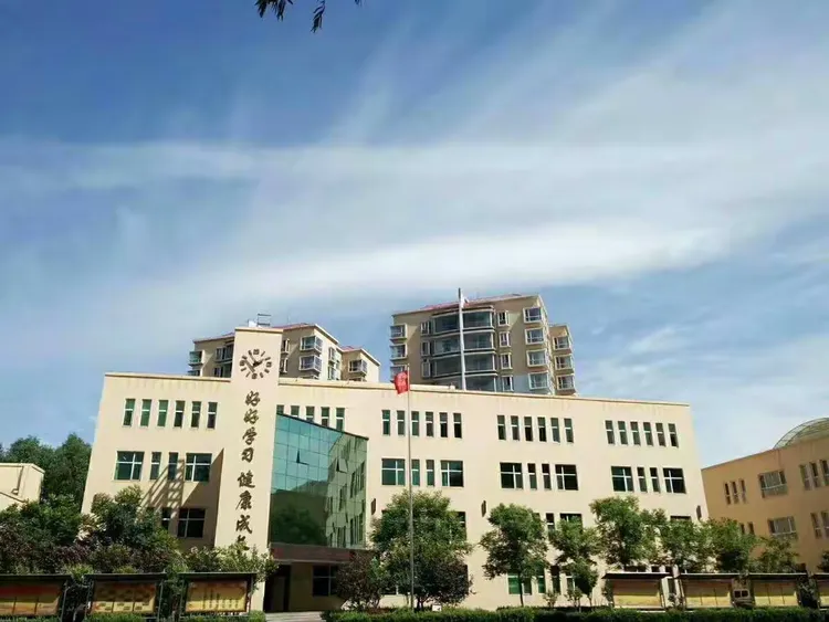 向阳而生,温暖前行