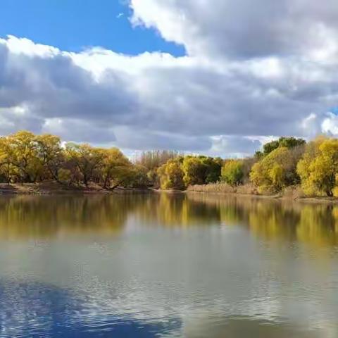 深秋！！龙沙公园