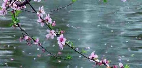 线上共教研   蓄势待花开一一一柞水县城区一小低段语文教研活动纪实