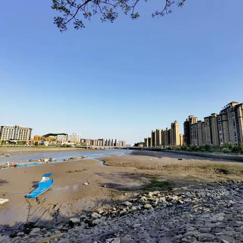 随笔～2023.4.9    春风和煦   阳光微烊。。。