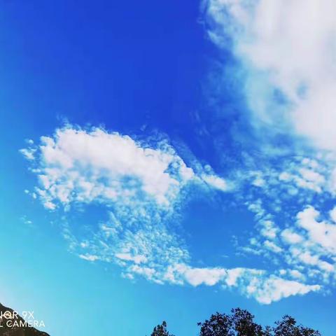 浅秋，岁月品味