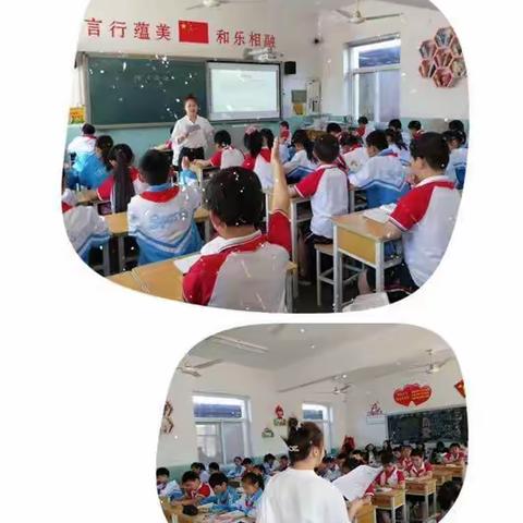 教研之花  静静绽放——提高文言文教学的实效性