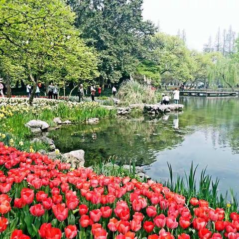 游杭州太子湾公园