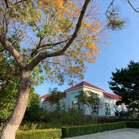 北戴河培训基地印象！（手机摄影）