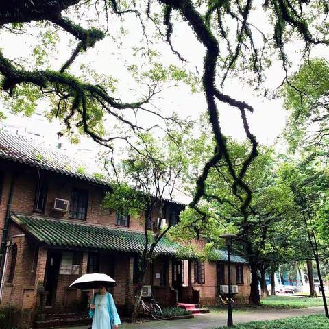 走在校园的小路上！（手机摄影）