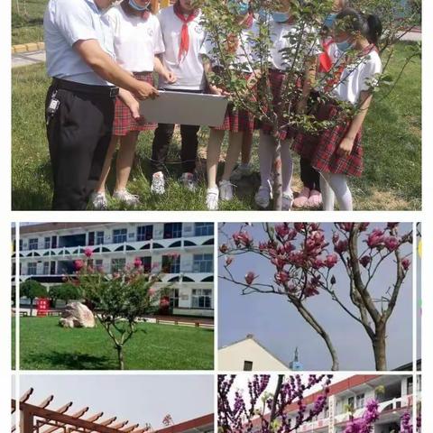 品味书香，遇见美好——市直五小暑期师生读书分享会(三十)