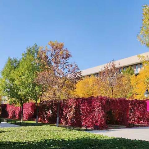 秋日行