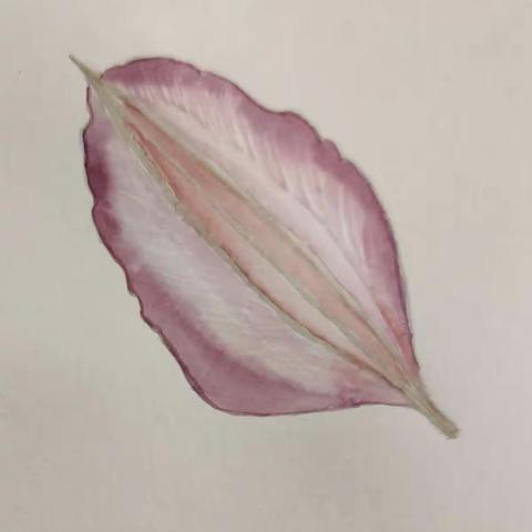 涂鸦