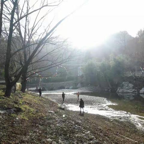 去野炊啦🌻🌻🌻