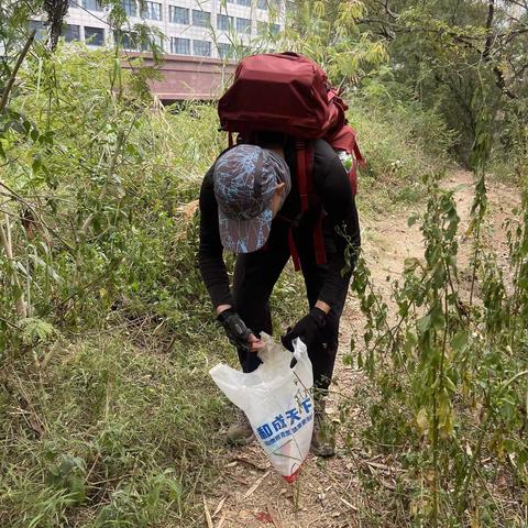 清洁山野：梅林后山