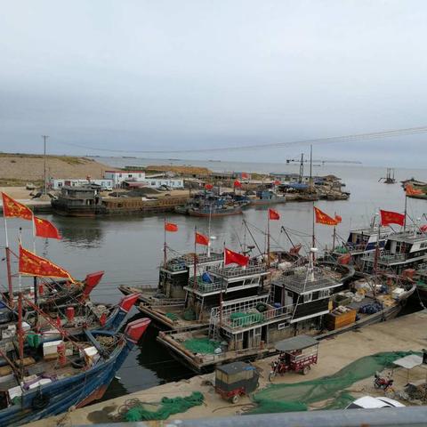 岁月悠悠同学情