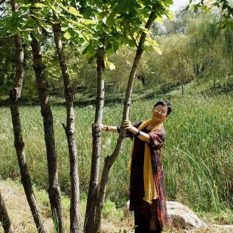 风姿绰约俏夕阳