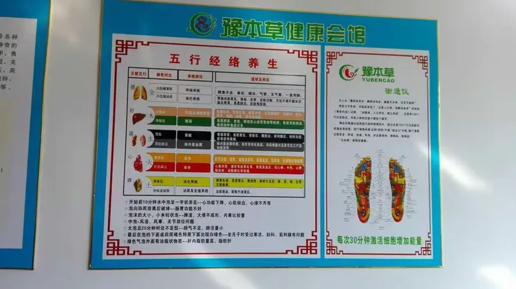 豫本草衡通仪部分详情分解