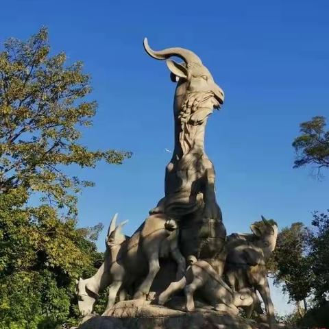 2019年12月广深旅游