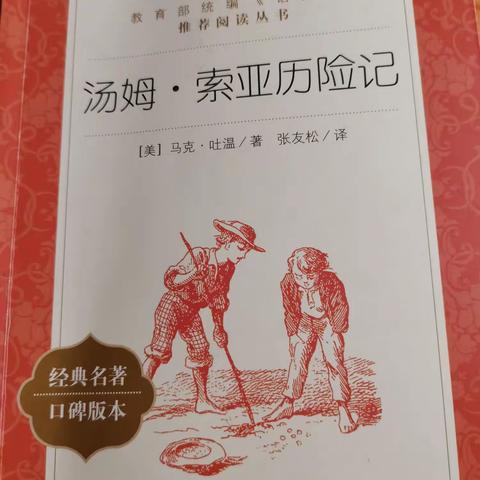 【书友】读《汤姆索亚历险记》，聊“寄养”的哀伤