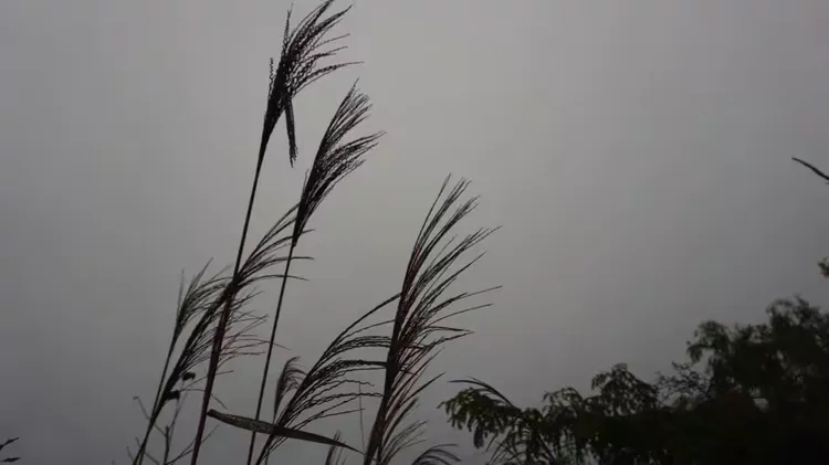 冬日徒步游记一参加随风远行（第59期）活动有感