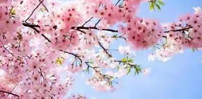 【中辐院学校】“疫”路同行，守护心灵——中辐院学校举行线上心理健康主题班会活动