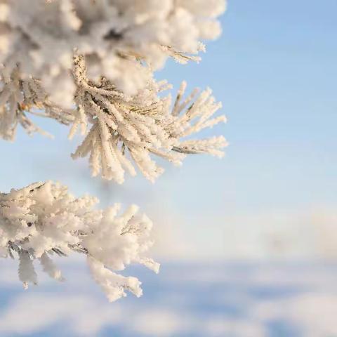 【小店区学府街学校•德育】雪落无声     安然沉静——学府街学校举行线上升旗仪式