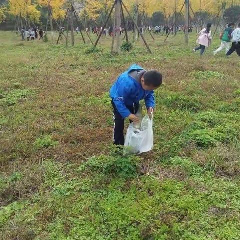 美化环境，你我他！