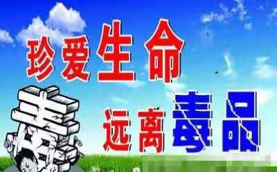 “珍爱生命，远离毒品”——东湖小学四三中队主题教育活动