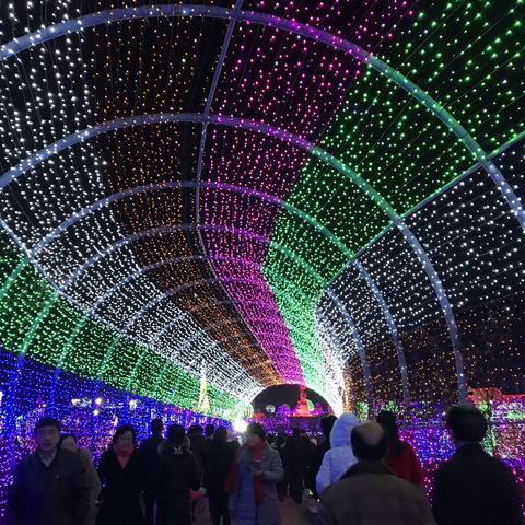 炫迈灯展