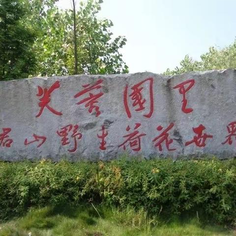 芙蓉国里尽朝晖