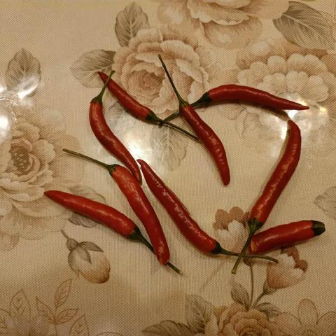 小米辣的情怀（随想）