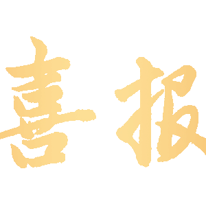 守望初心     踔厉前行 ——平果市第九小学教师获奖喜报