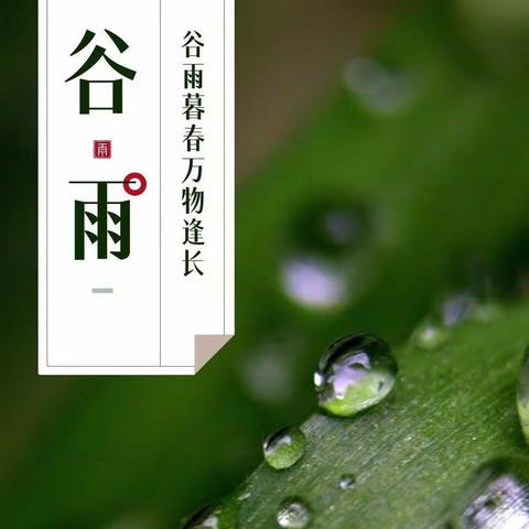 谷雨 好季