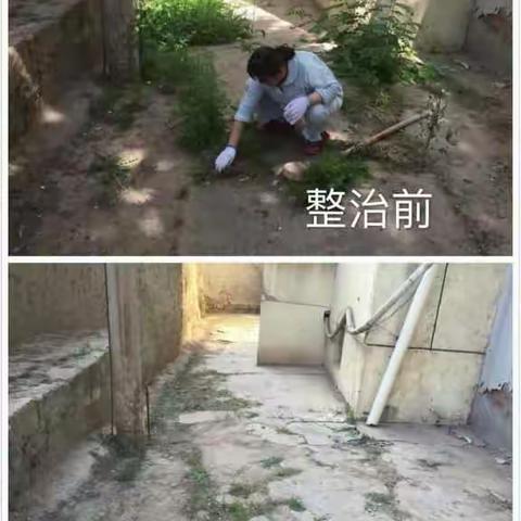 南市街道马家湾社区环境卫生整治(十四)