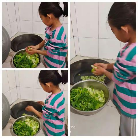 二三班张琦琛实践作业