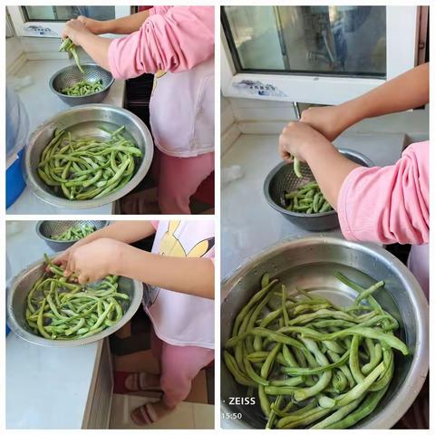 南园街学校四年级3班张琦琛暑假生活