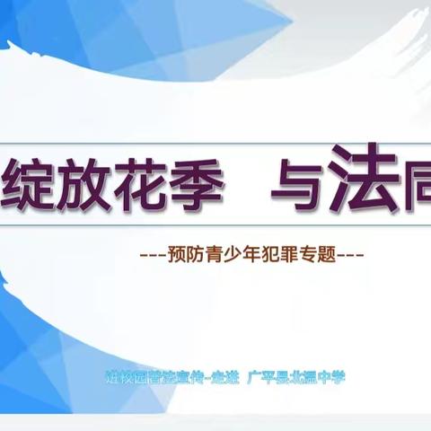 绽放花季，与法同行