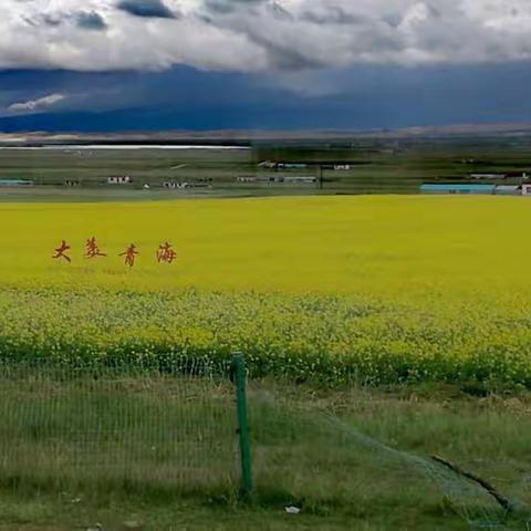 诗和远方——青海甘肃大环线自驾游（一）