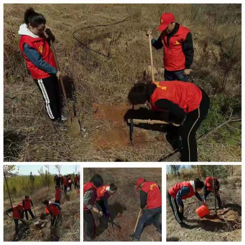 春雨润万物  植树正当时