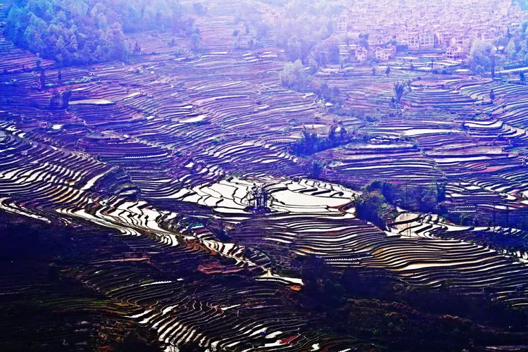 哈尼梯田
