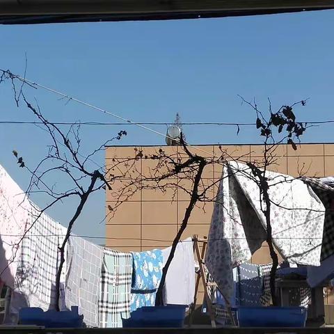 温暖的冬天，我们给孩子们晒被子啦！