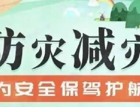 宝贝之家幼儿园 “国际减灾日.防灾在日常”