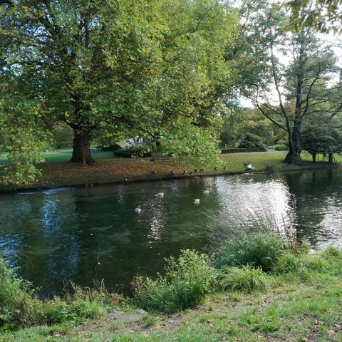 一个人的世界......