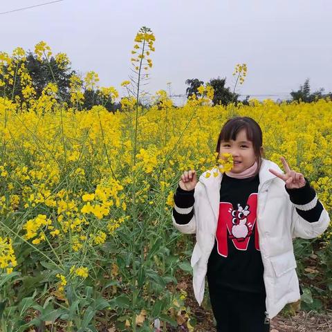 春回大地，万物复苏