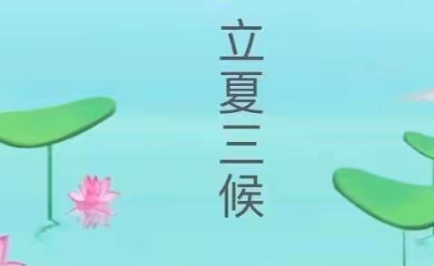 春意阑珊处，立夏款款来——记乐乐班复学第一天