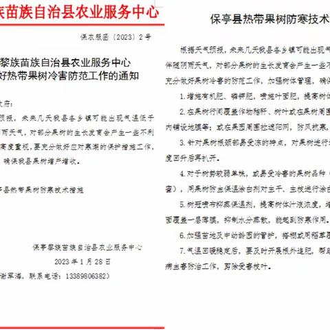 保亭县农业服务中心开展热带果树防寒抗寒技术指导工作