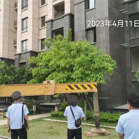 龙华分局住建规划行政执法大队2023年4月11日工作日报